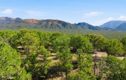 Deer Mesa Road lot: 11, Valdez, NM 87571