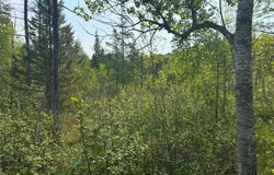 340 State 84 SW, Barclay Twp, MN 56474
