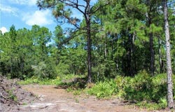 APRICOT AVENUE, EUSTIS, FL 32736