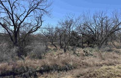 Lot 102 Ridgemont Drive, Kingsland, TX 78639