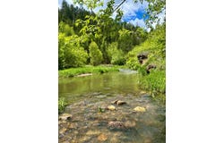 20582 Whitewood Creek Road, Spearfish, SD 57783