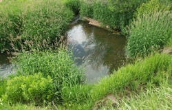 TBD Co Rd 179, Oak Creek, CO 80467