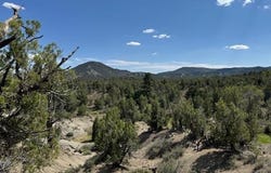 2519 Green Shadows Road, Durango, CO 81303