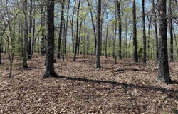 563-00020-000 Sunrise Circle, Yellville, AR 72687