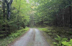 0 Thayer Road, Westminster, VT 05158