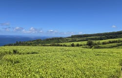 34-4330 PALI NANA RD unit: 1, Papaaloa, HI 96780