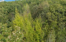 1355 Floral Road, Concord, AR 72523
