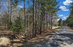 573 Qualls Road, Ridgeway, SC 29130