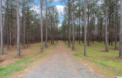 NORTHSIDE ROAD lot: 18, BERRY, AL 35546