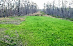 0 Bell Hollow Road, Vanleer, TN 37181