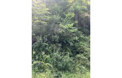 00 Childress Rd, Mouthcard, KY 41548