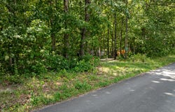 Lot 270 Gilreath Mill, Menlo, GA 30731