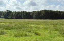 Tbd CR 2120, Talco, TX 75487