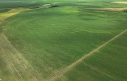 Gum Avenue, Blencoe, IA 51523