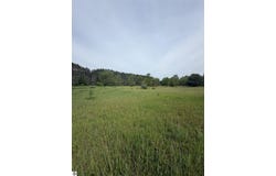 Pearl Street, Thompsonville, MI 49683
