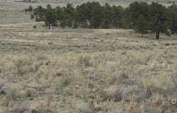 TBDD CR 634.4, Gardner, CO 81040