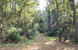 0 Lowery Road, Atmore, AL 36502