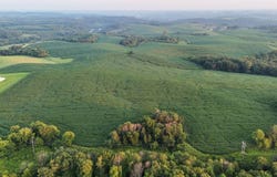 TBD Beechnut Rd, Clermont, IA 52135