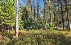 4042 HIBANKS RD, Conover, WI 54519