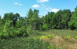 19.63 Ac Luedtke Road, La Valle, WI 53941