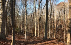 8228 SHADOWRIDGE DRIVE, FAIRFAX STATION, VA 22039