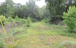 0 Mobile Road, Greenville, AL 36037
