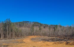 BLUEWATER Trce, Berry, AL 35546