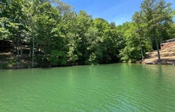 999 COUNTY RD 3134, Houston, AL 35572