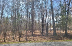 TEXAS SCHOOL RD, BUCKINGHAM, VA 23921