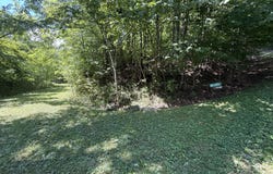Overlook Drive, Roan Mountain, TN 37687