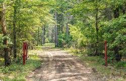 474 E Cabin Lake Road, West Branch, MI 48661