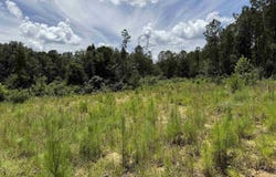7286 CHERRY DRIVE, PINSON, AL 35126