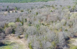 937 CR 1135, Mount Pleasant, TX 75455
