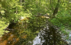 Frescoln Road lot: #4, Wentworth, NH 03282