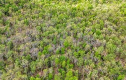 0000 Stone Ridge Rd, Huggins, MO 65484