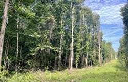 FM 2683, Jefferson, TX 75657