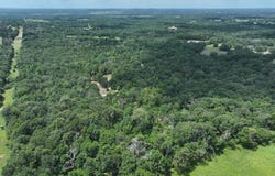 Tbd CR 431 Road, Fairfield, TX 75840