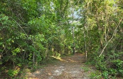 0 Cedar Springs Road, Cedar Springs, GA 39832
