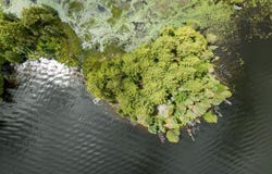 Off BOY SCOUT ISLAND RD, Watersmeet, MI 49969