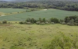 Buffalo Trail, Kirksville, MO 63501