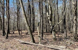 1901-1902 Horizon Drive, Greentown, PA 18426