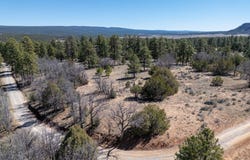 4-5 W Lobo Drive, Ramah, NM 87321