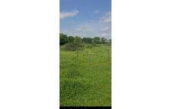 Tbd Us-69 Highway, Lone Oak, TX 75453
