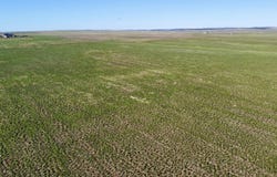 5 County Rd 125, Deer Trail, CO 80105