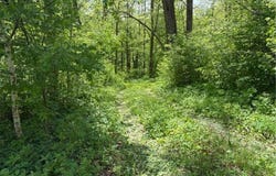 Tbd 226th, Workman Twp, MN 56431