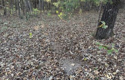 CR 311, OXFORD, MS 38655