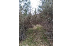 0 Pine Drive, Cedar Glen, CA 92321