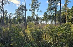 Christanna Hwy lot: 3, Lawrenceville, VA 23868