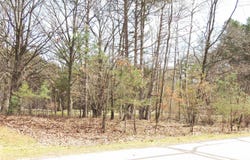 1026 York, Lake Isabella, MI 48893