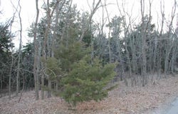 5524 State Highway 34C Lot 2, Woodward, OK 73801